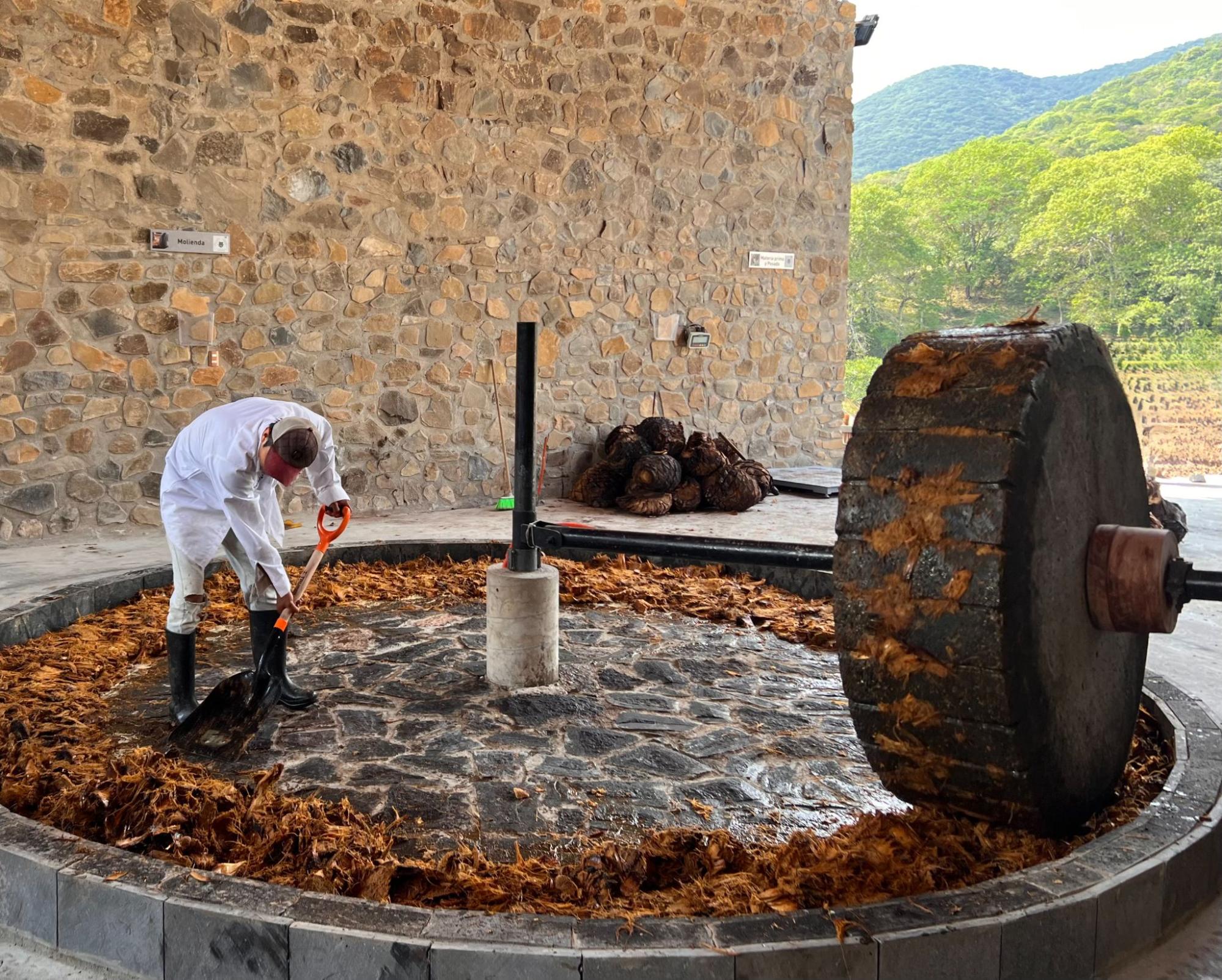 Battery-powered tahona — 2-ton volcanic stone wheel pressing the volcanic-stone floor at Mezcal Argato